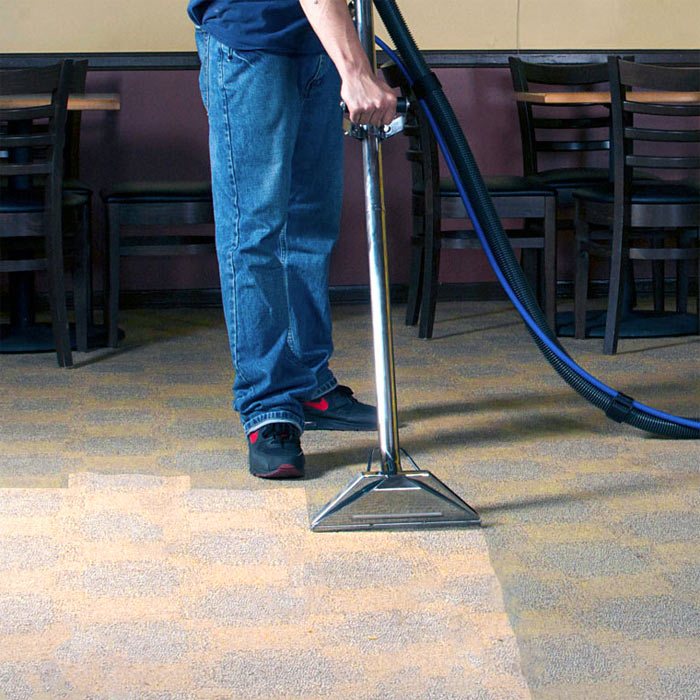 Best and Worst Carpet Cleaning Methods | Delaware Valley Carpet Cleaning