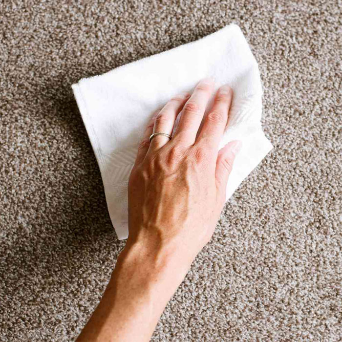 Carpet Spot Cleaning Tips